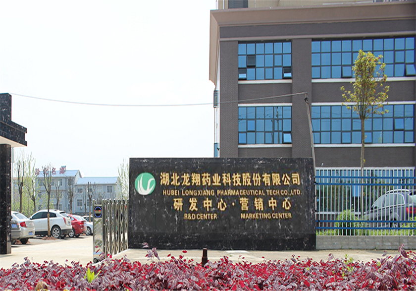 武穴龙翔药业
