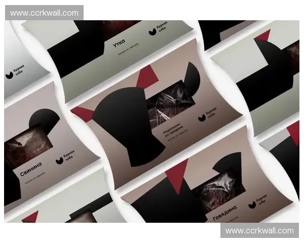 视觉包装设计创新：从品牌识别到消费者体验的全方位探索与应用