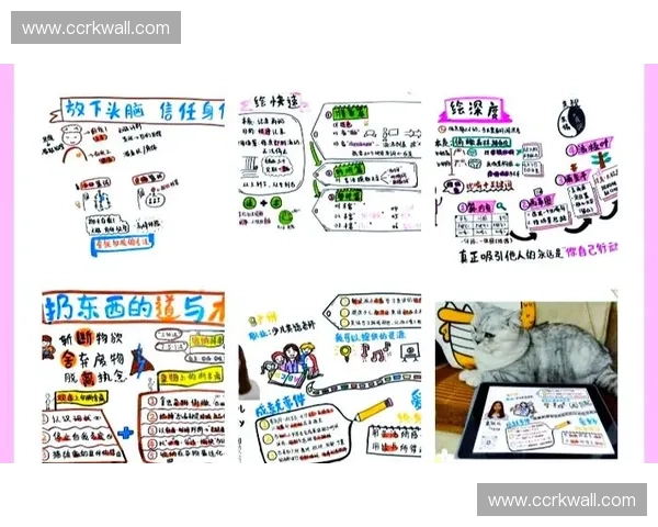 围绕训练模板构建高效学习策略与全面系统化实践路径深度探索方向