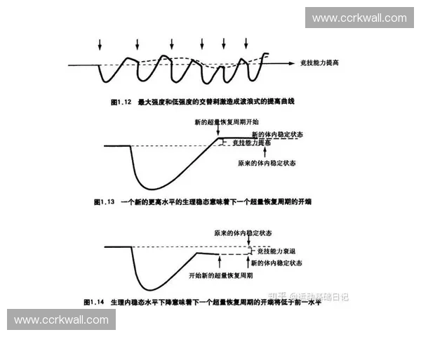 以运动衔接度为核心的训练体系优化与竞技表现提升研究路径分析方法