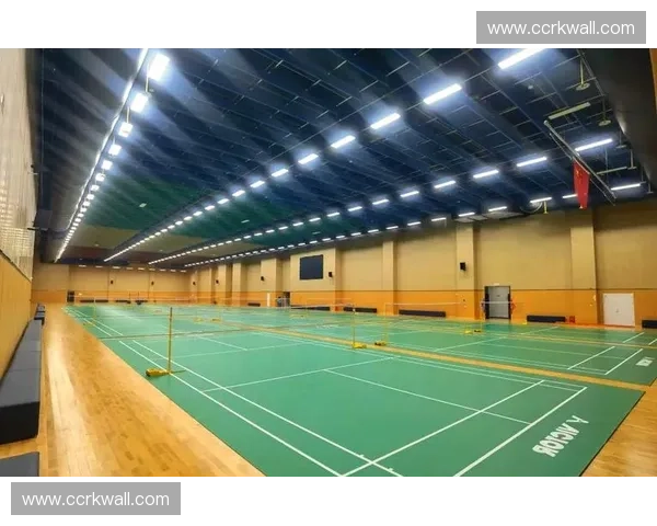 沉浸式体育运动体验馆打造全龄段互动健身新乐园